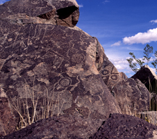 Petroglyph National Monument Credit: Verna Wood