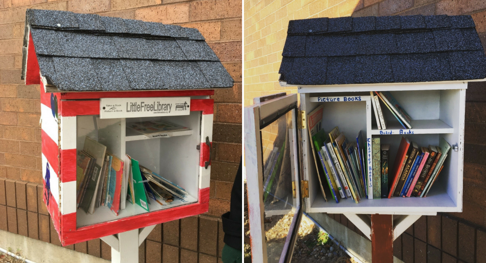 Local Library Before Little Free Library – WORDY by Nature