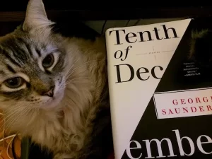A copy of Tenth of December with a cat.